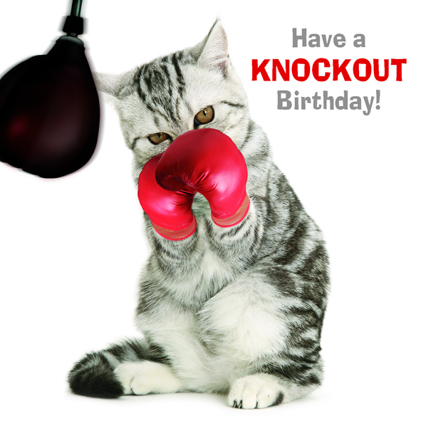 Kort Knockout