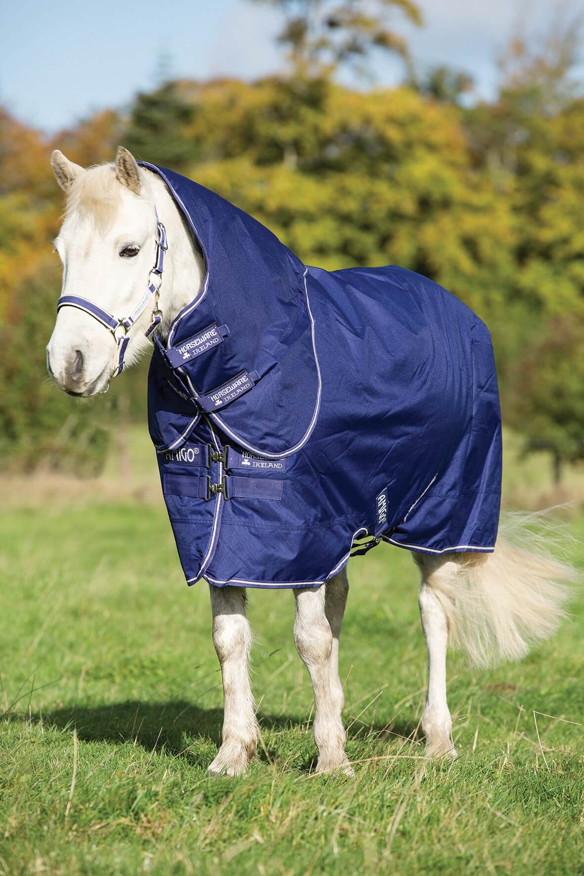 Horseware Amigo Hero Ponny Plus Blue