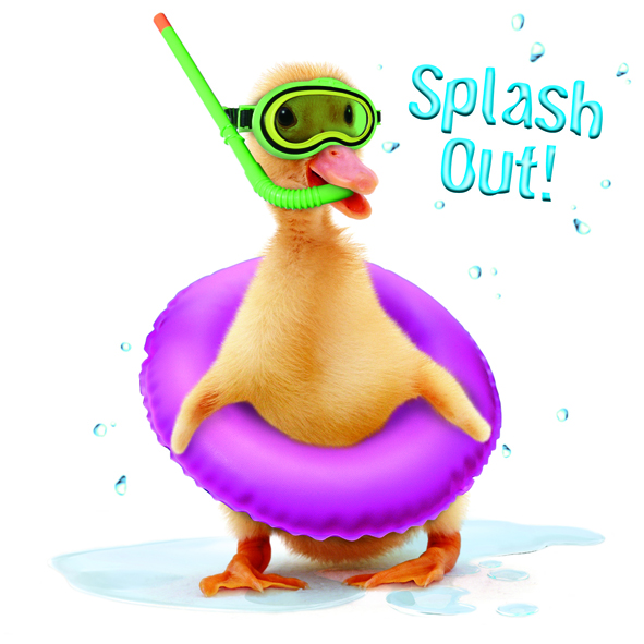 Kort Splash Out!