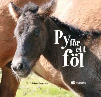 Bok Py får ett föl