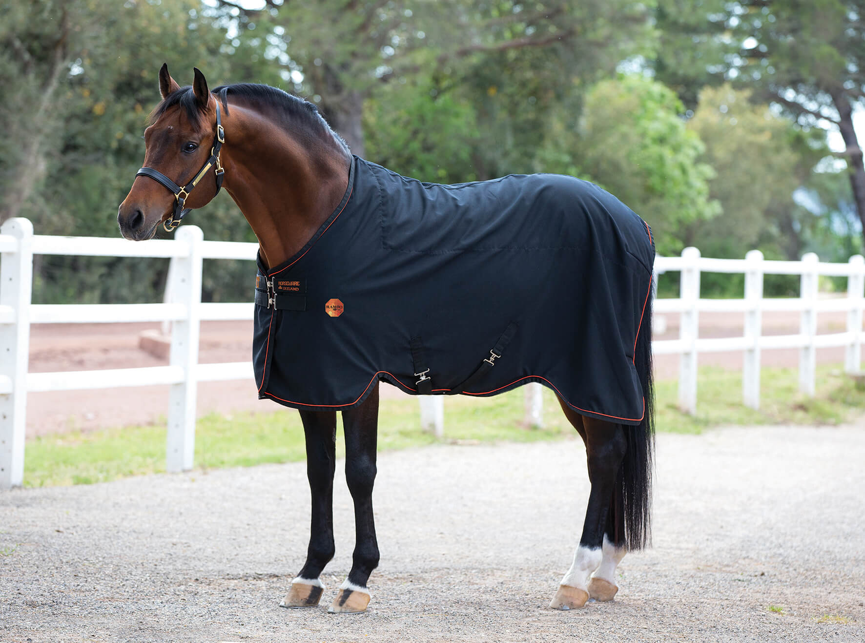 Horseware RAMBO IONIC stalltäcke