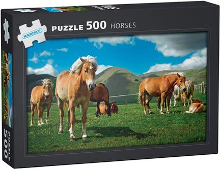 Pussel 500 bitar