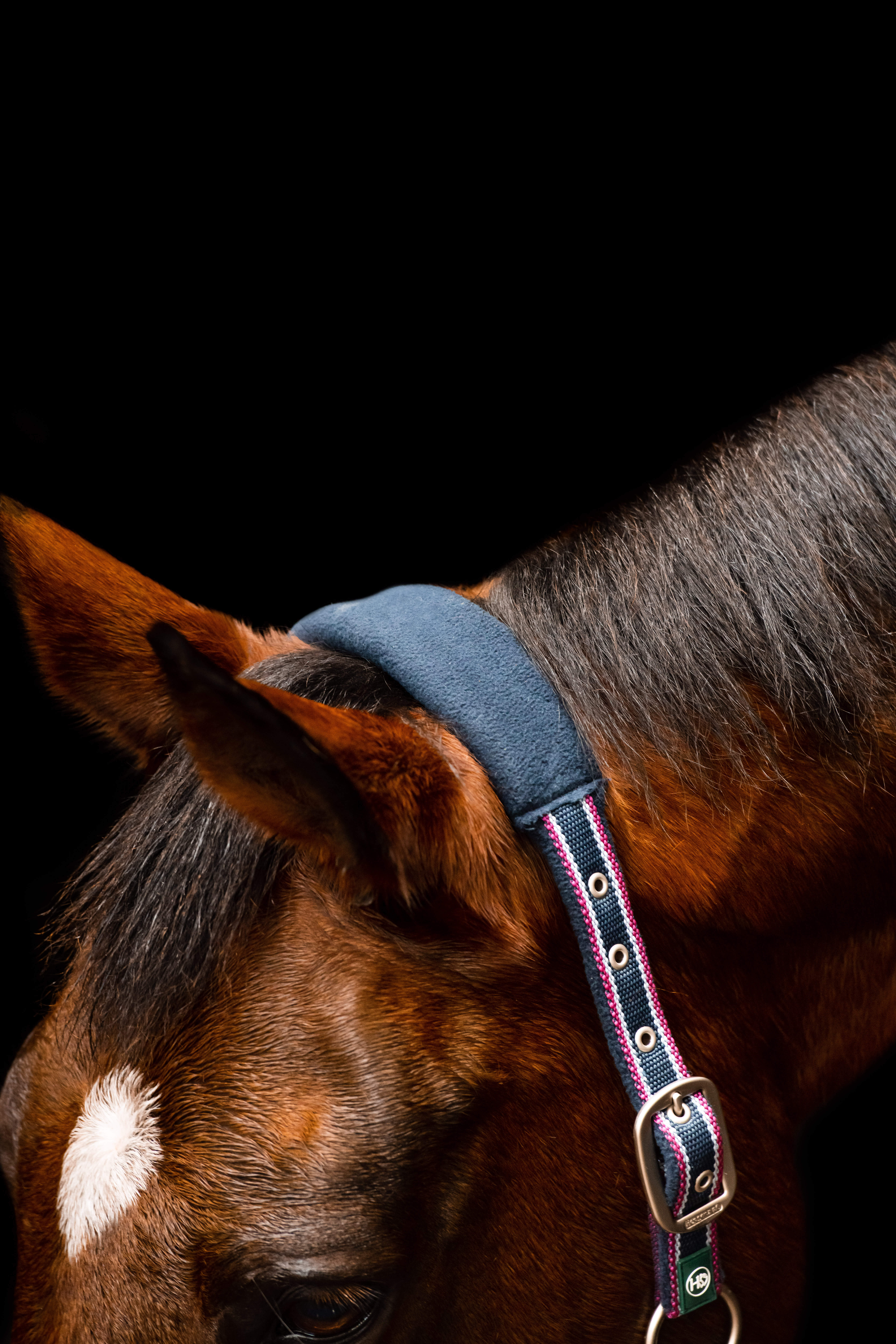 Horseware RAMBO GRIMMA navy
