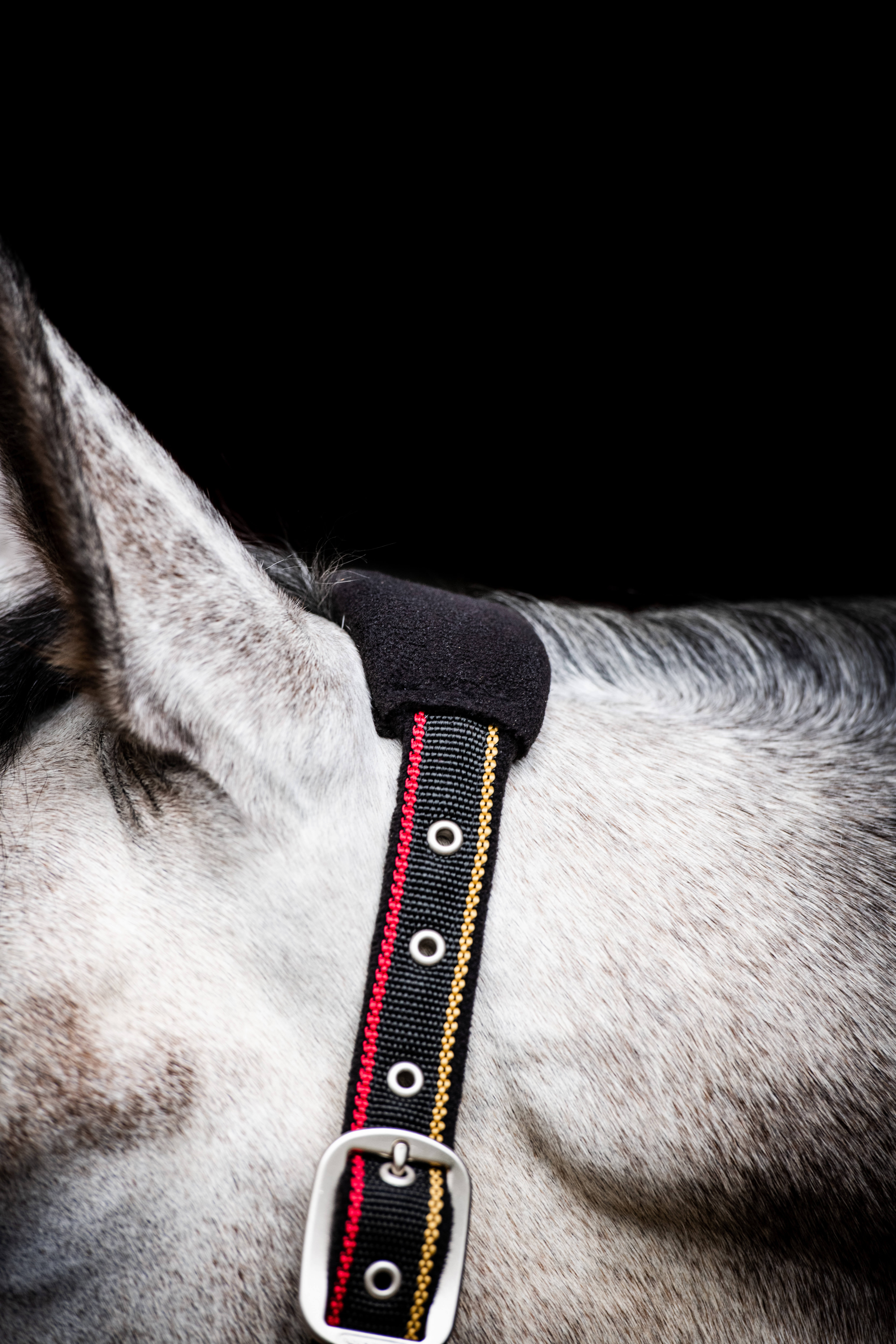 Horseware RAMBO GRIMMA whitney gold