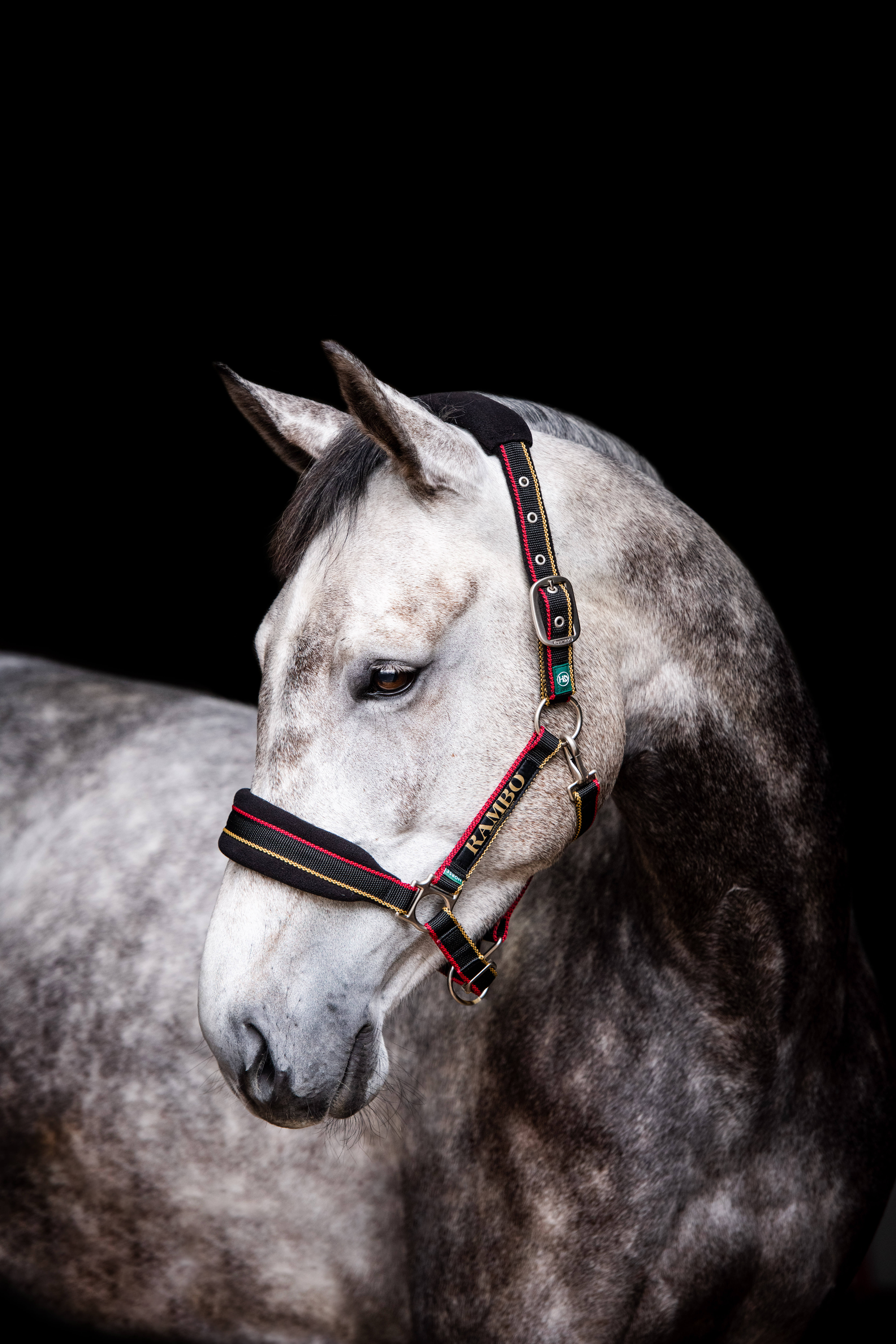 Horseware RAMBO GRIMMA whitney gold