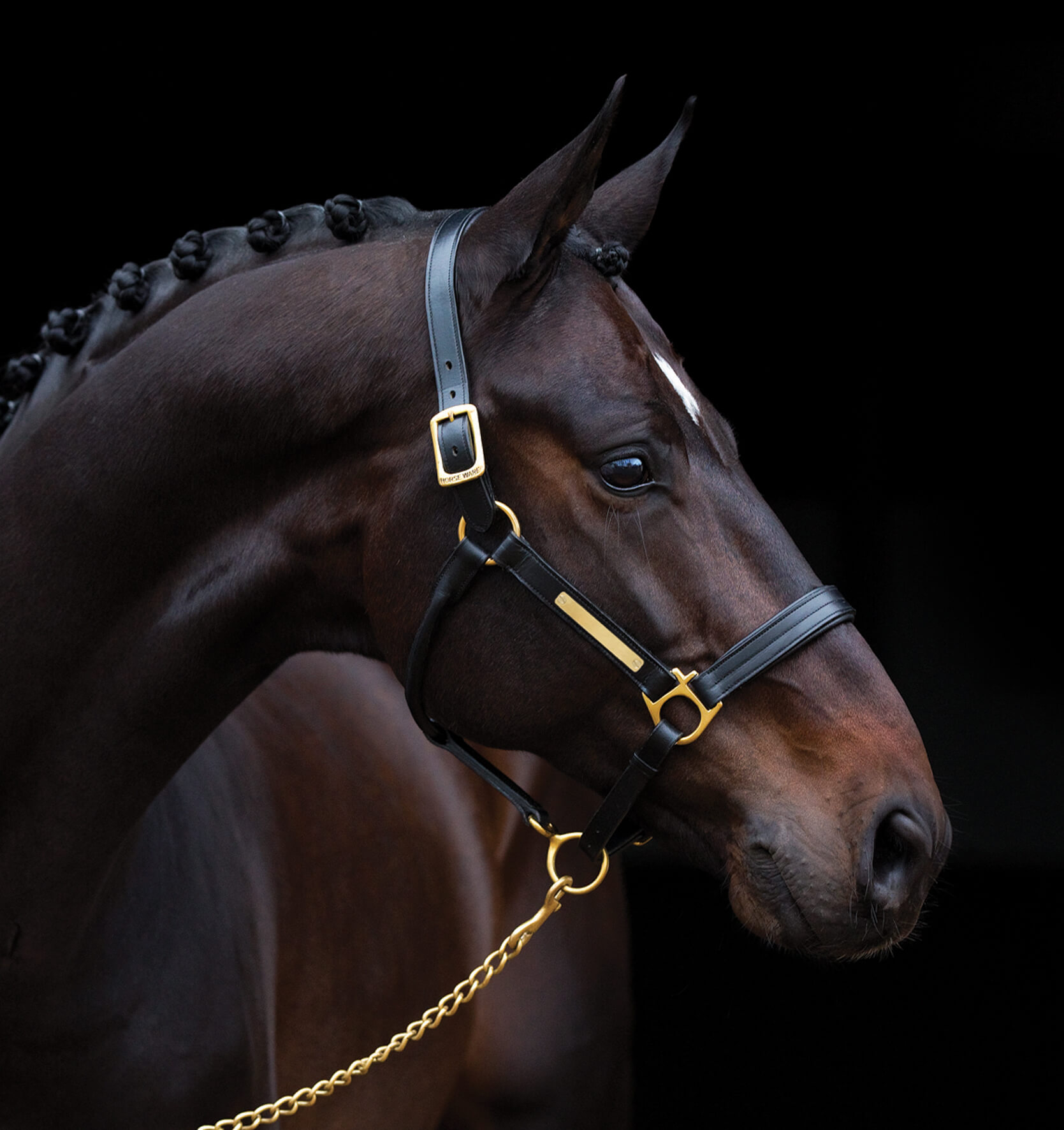 ANDRAHANDSORTERING Horseware AMIGO LÄDERGRIMMA svart
