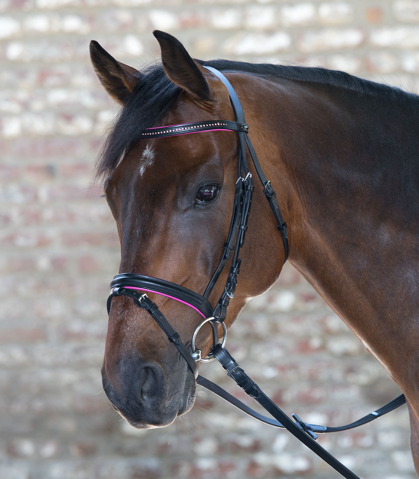 Träns Star Diamond minishetland-full fuchsia