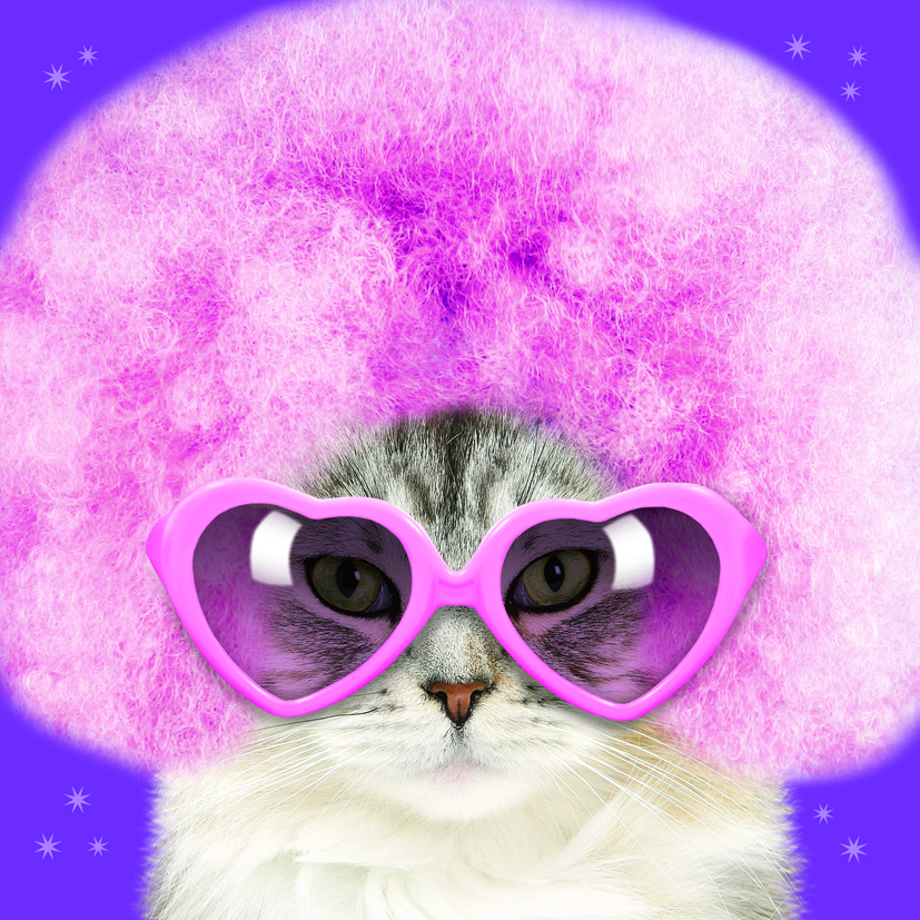 Kort Funky Feline
