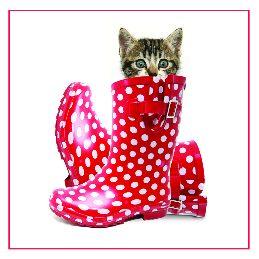 Kort Puss in Boots
