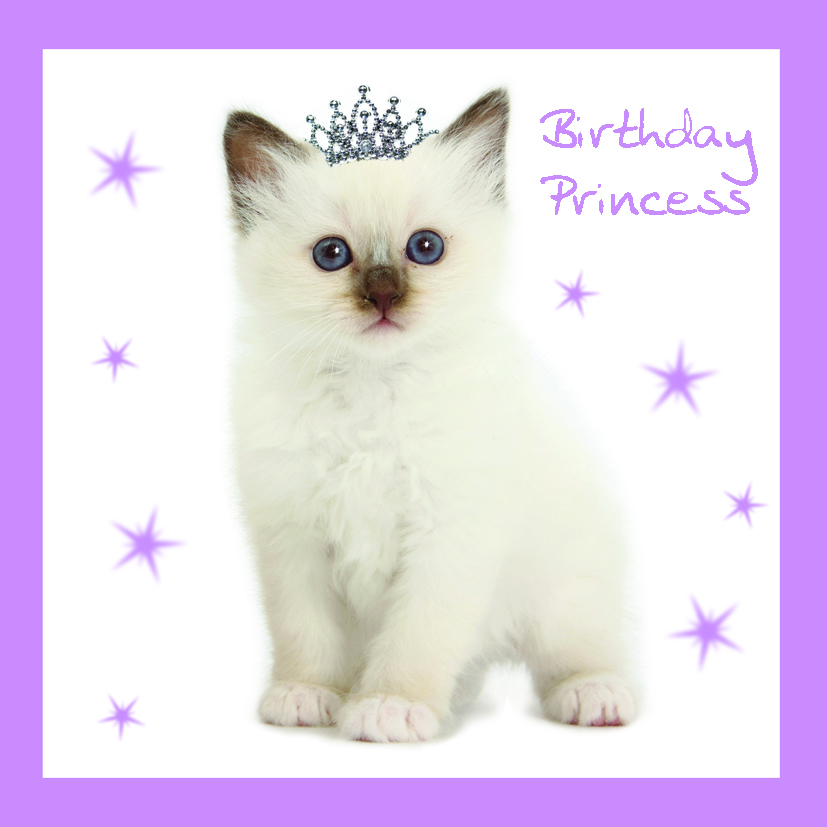 Kort Princess Kitty