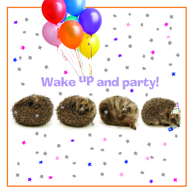Kort Wakey Wakey
