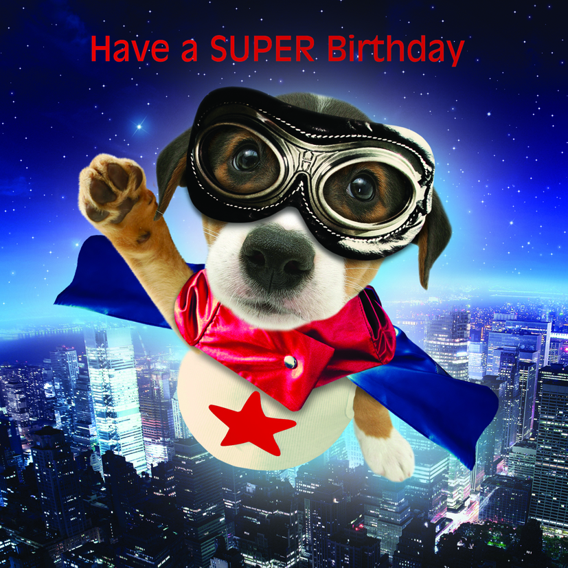 Kort Super Pup