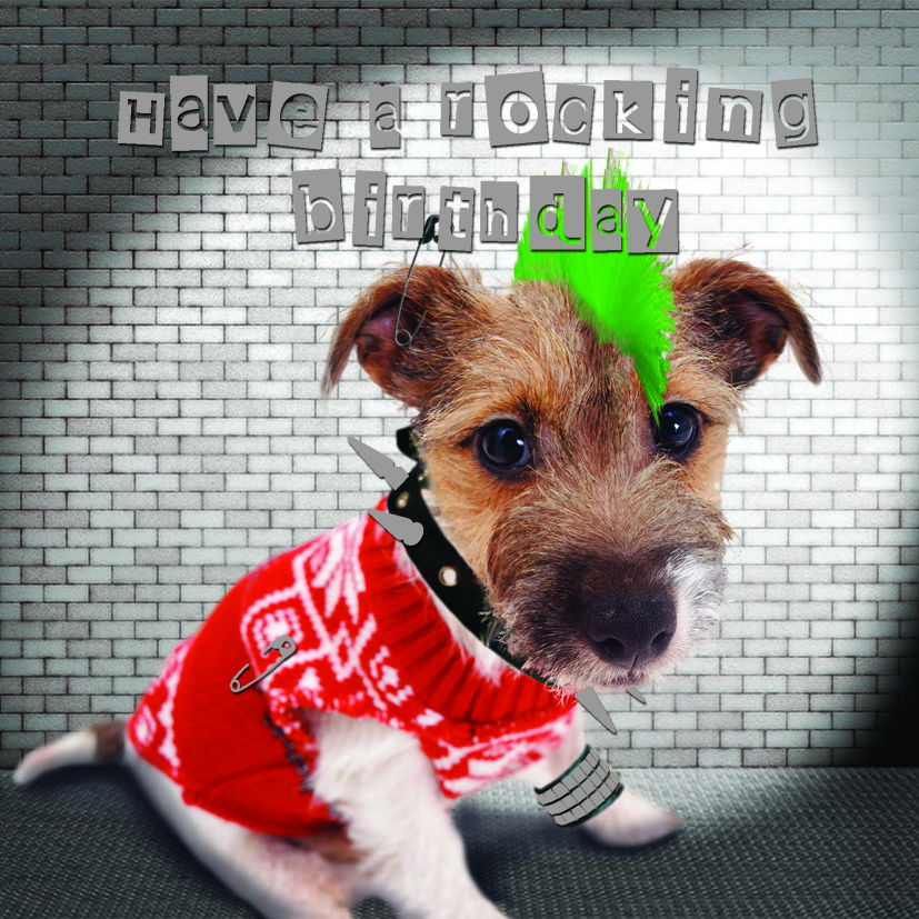 Kort Punk Dog