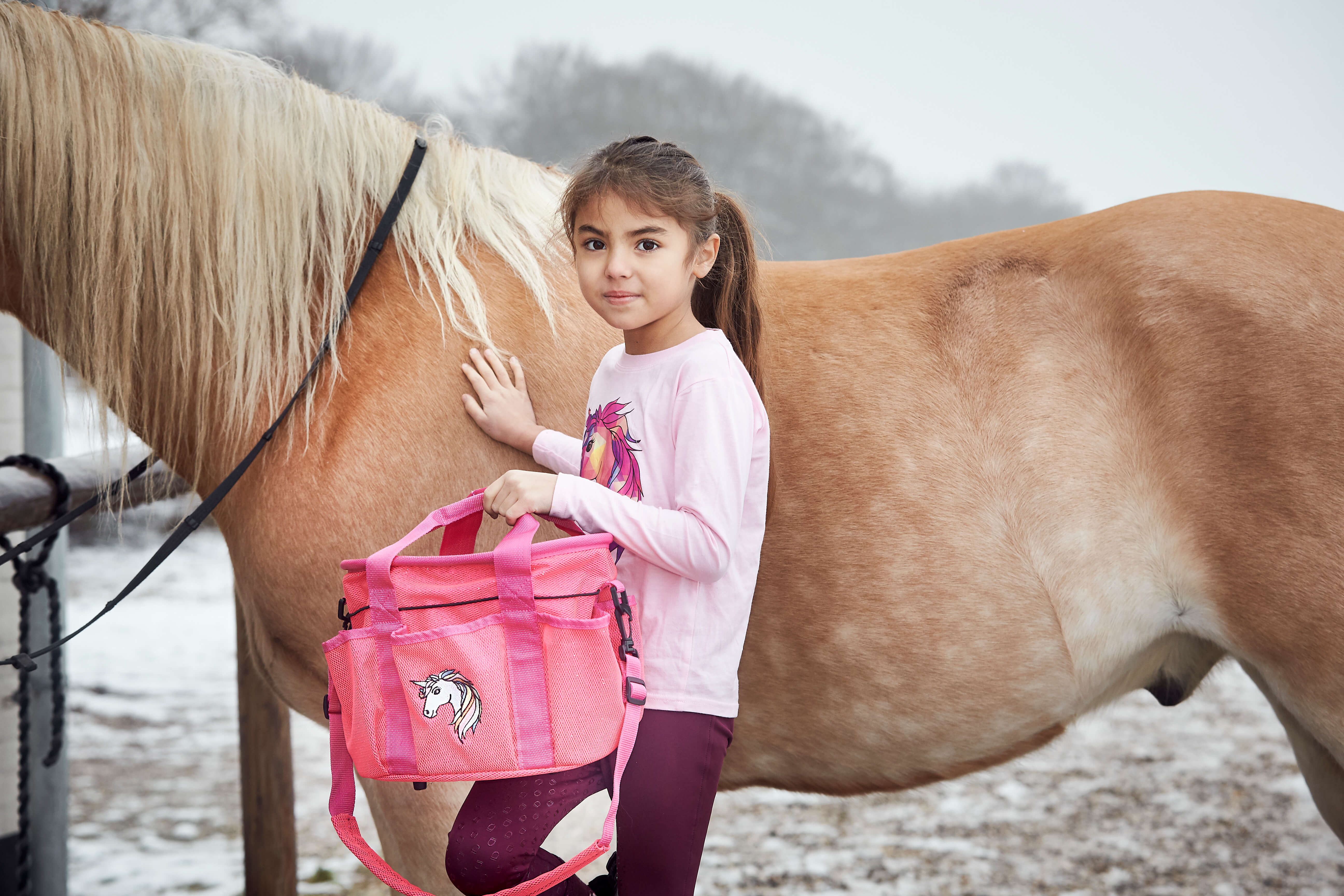 Tröja långärmad Equipage Jinx Fairy Tale rosa - 4