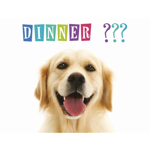 GIANT PET PLACEMAT - GOLDEN RETRIEVER "DINNER??"