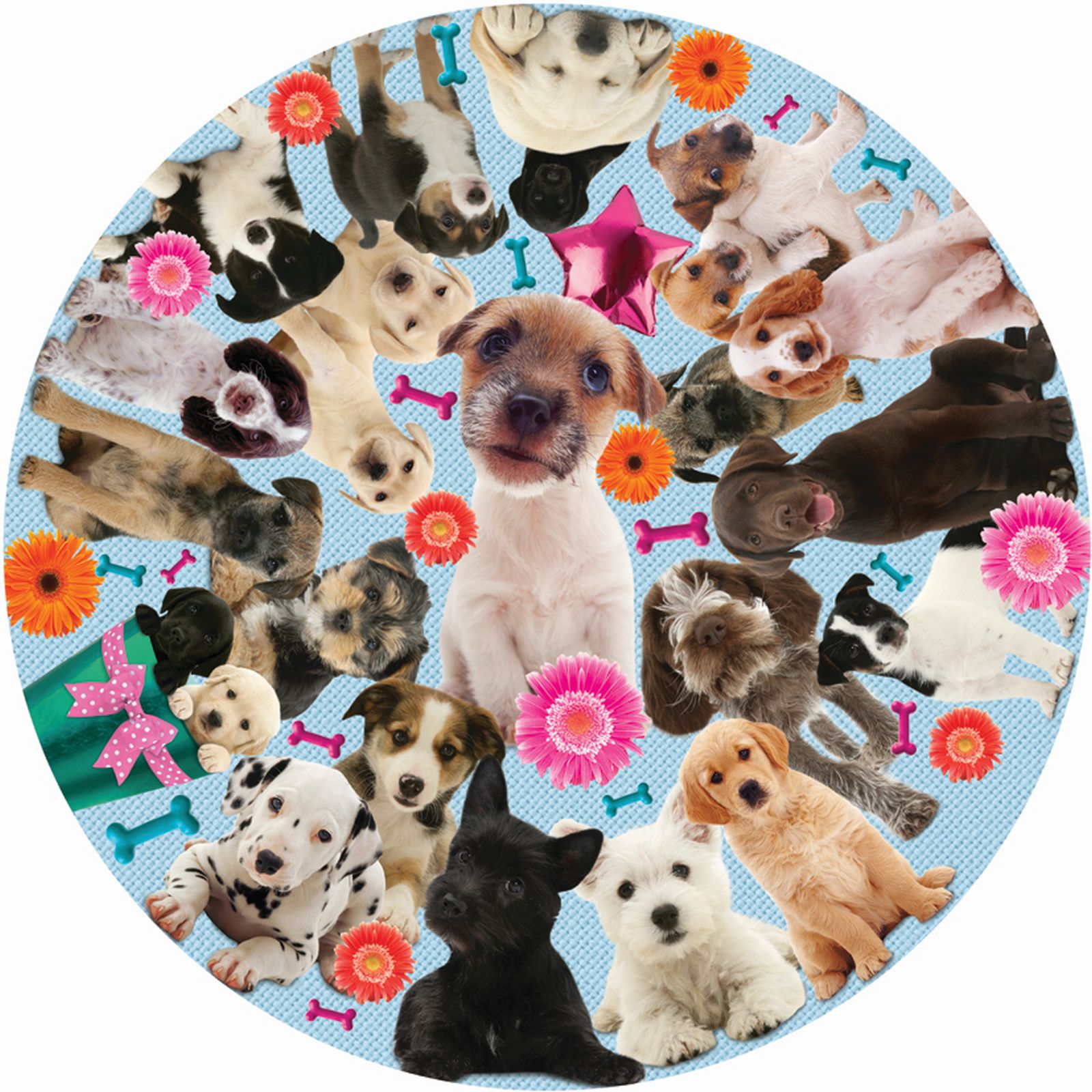 JIGSAW CIRCULAR - PUPPY MADNESS