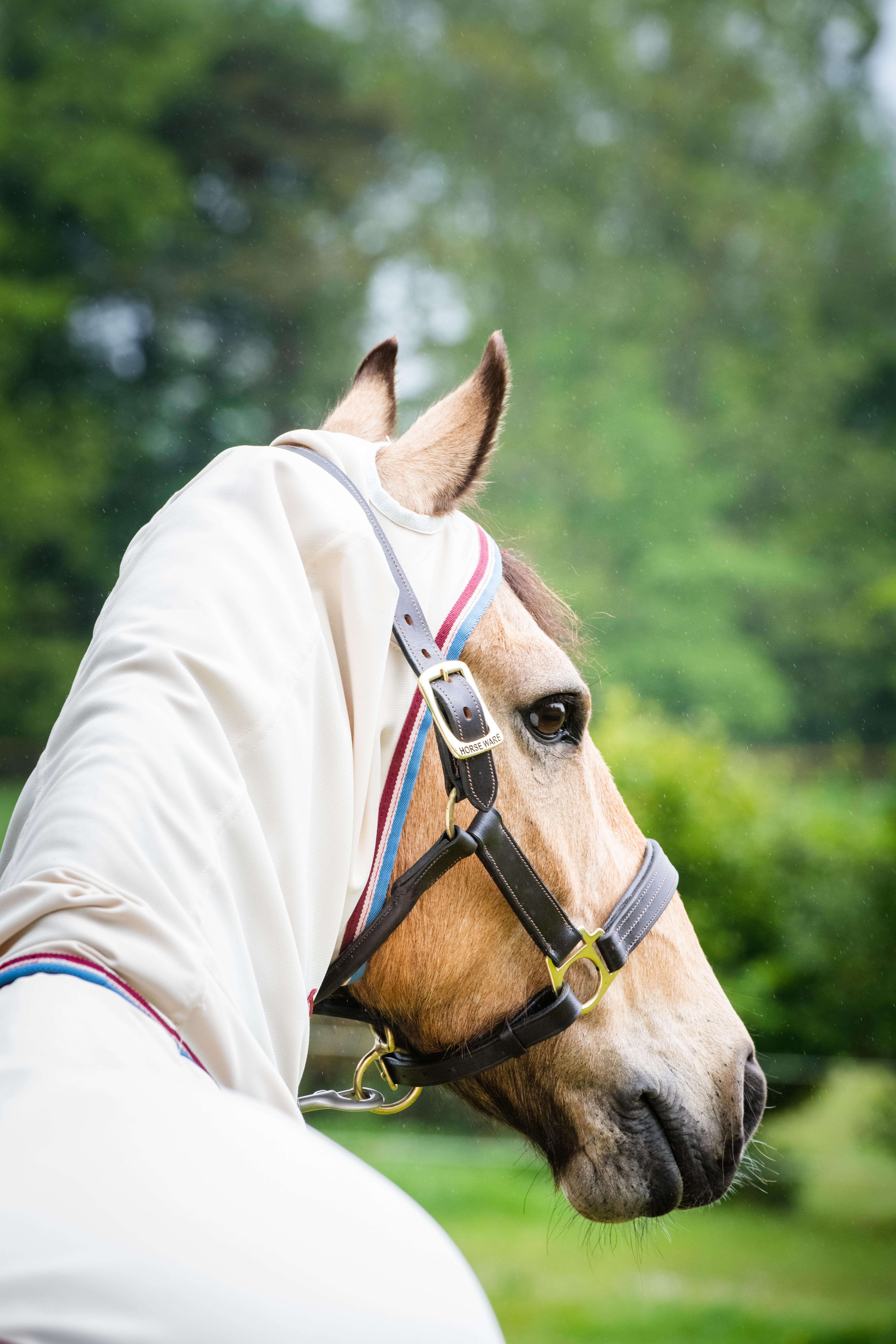 Horseware RAMBO PONNY HOODY
