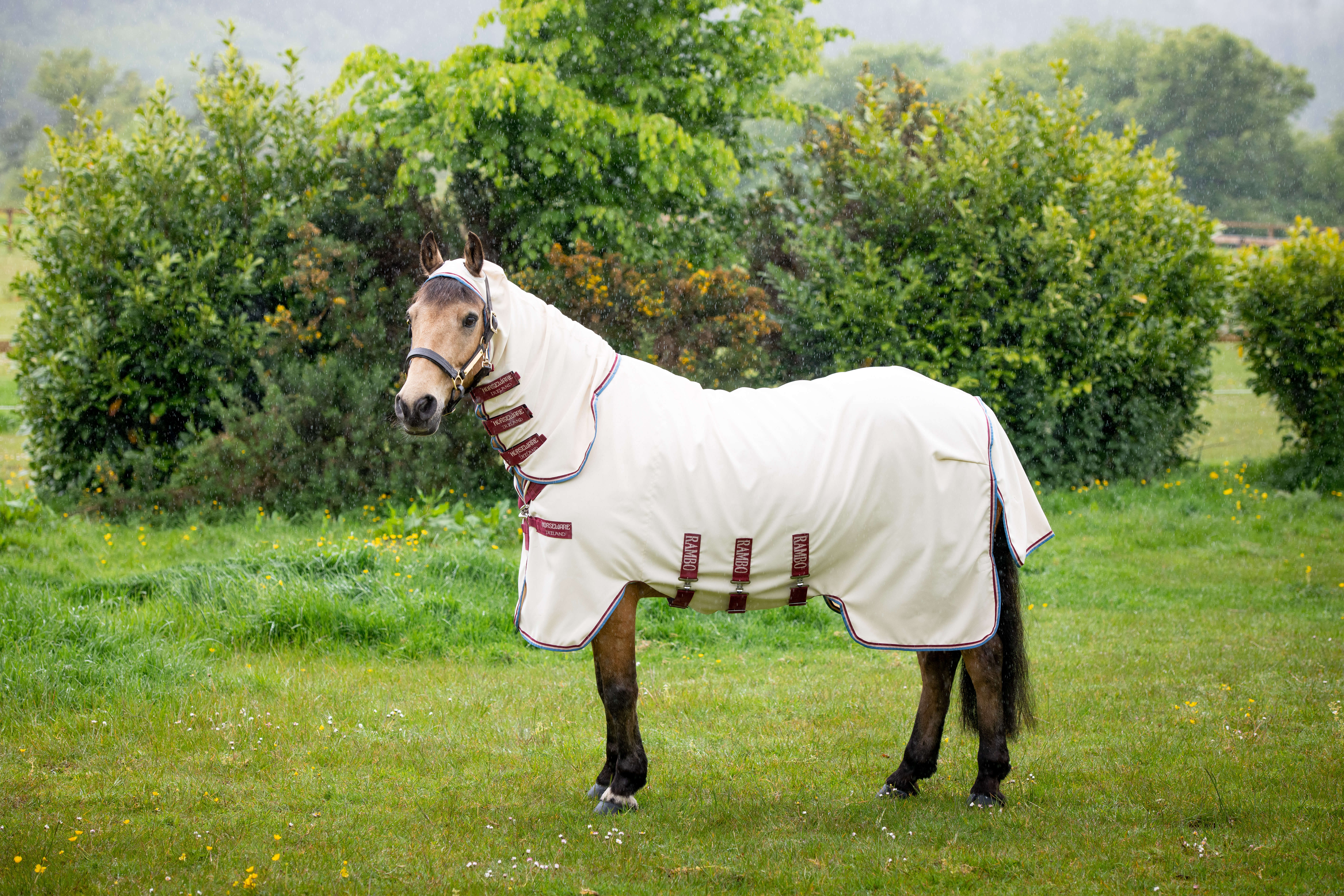 Horseware RAMBO PONNY HOODY