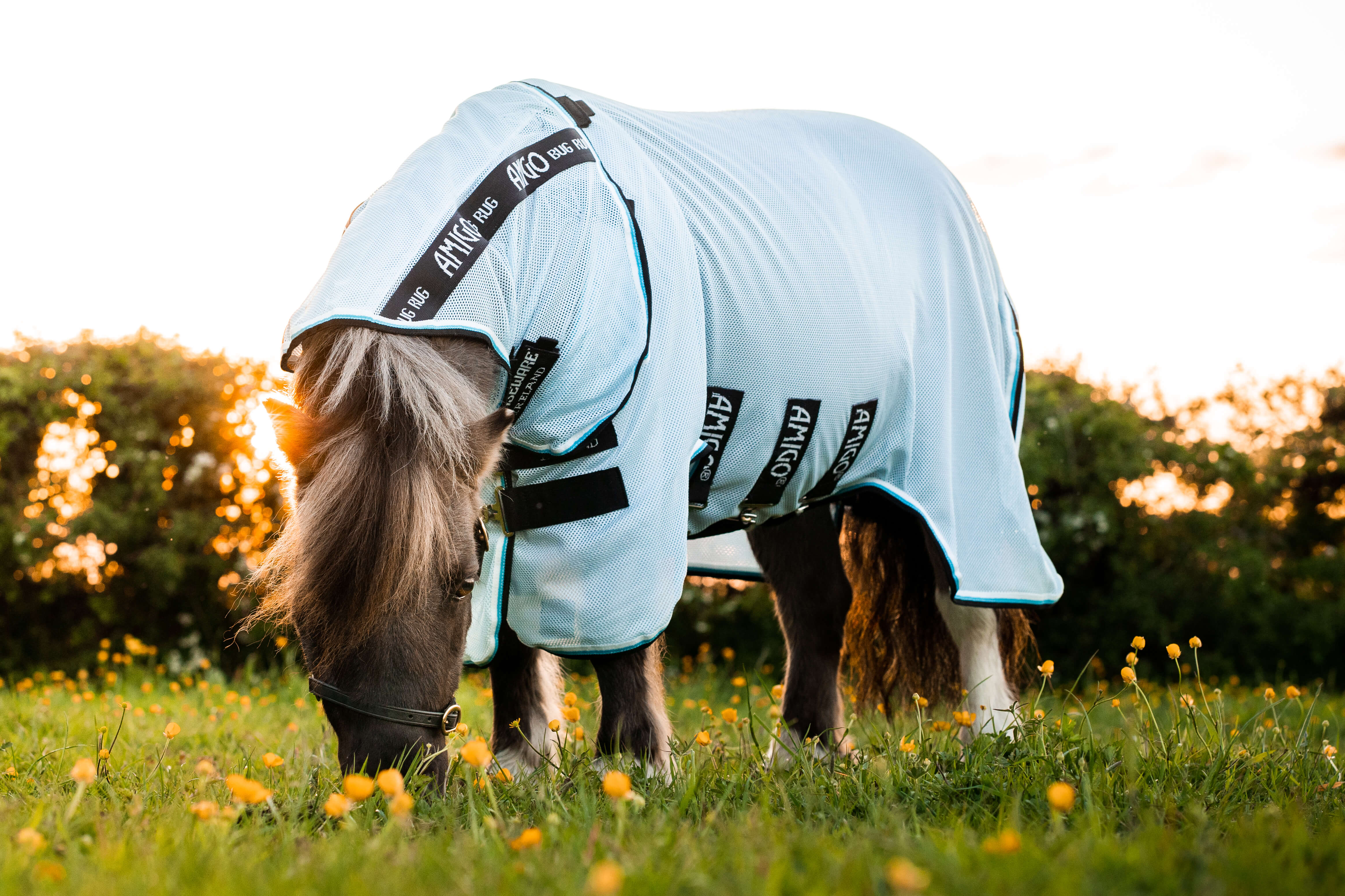Horseware Amigo Petite Bug Rug Azure blue