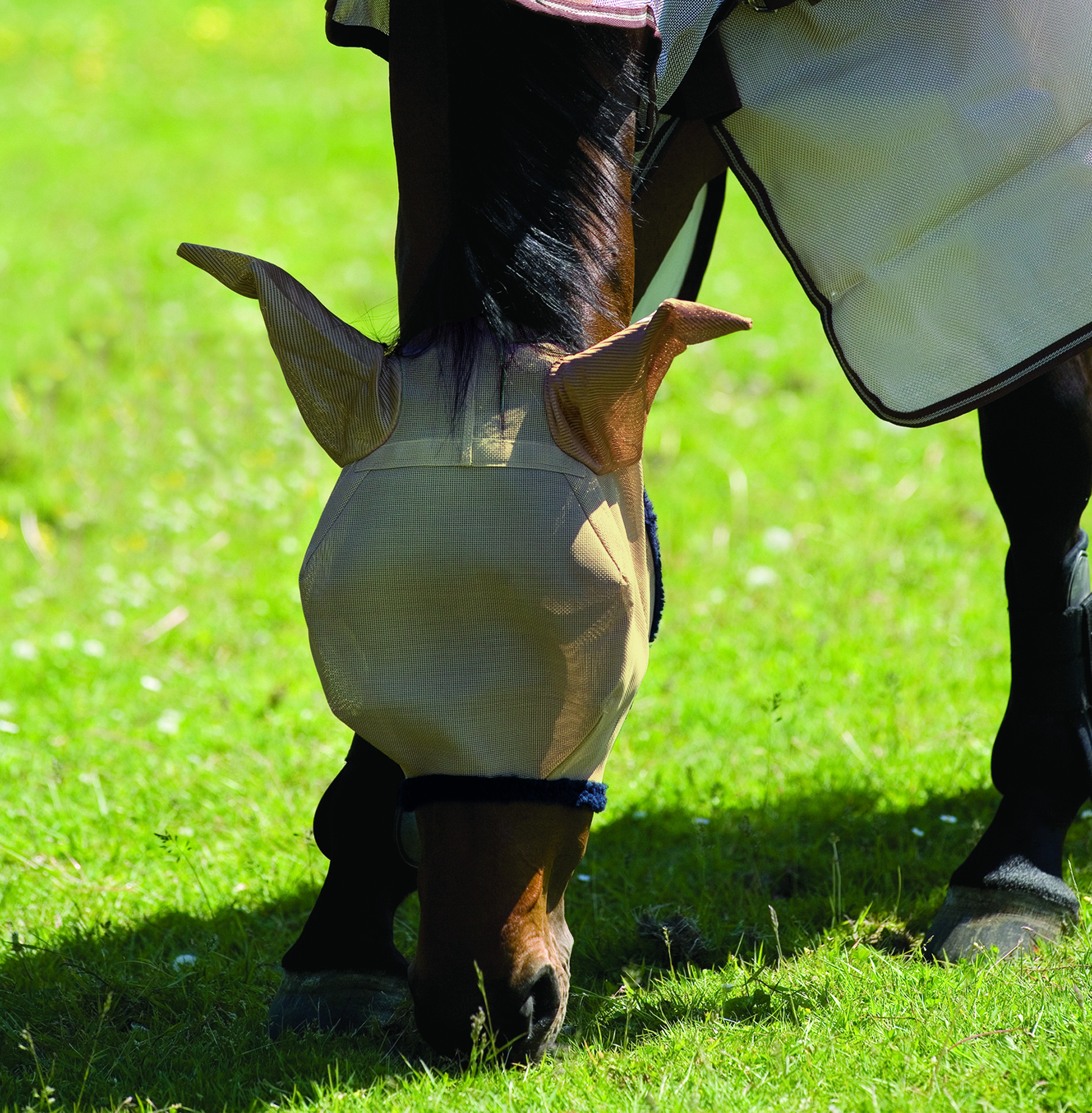 Häst i ljusbrun flughuva från Horseware Amigo