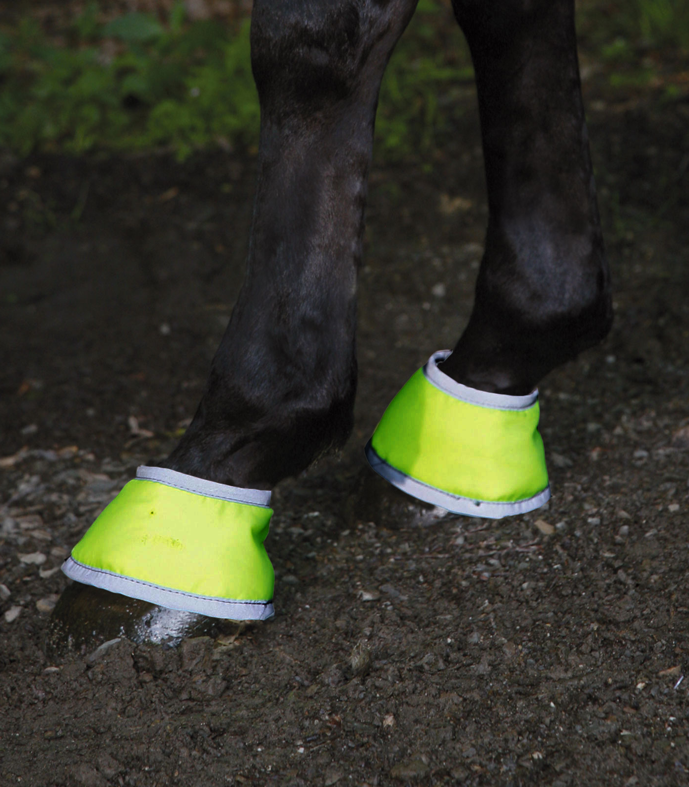 Boots reflex