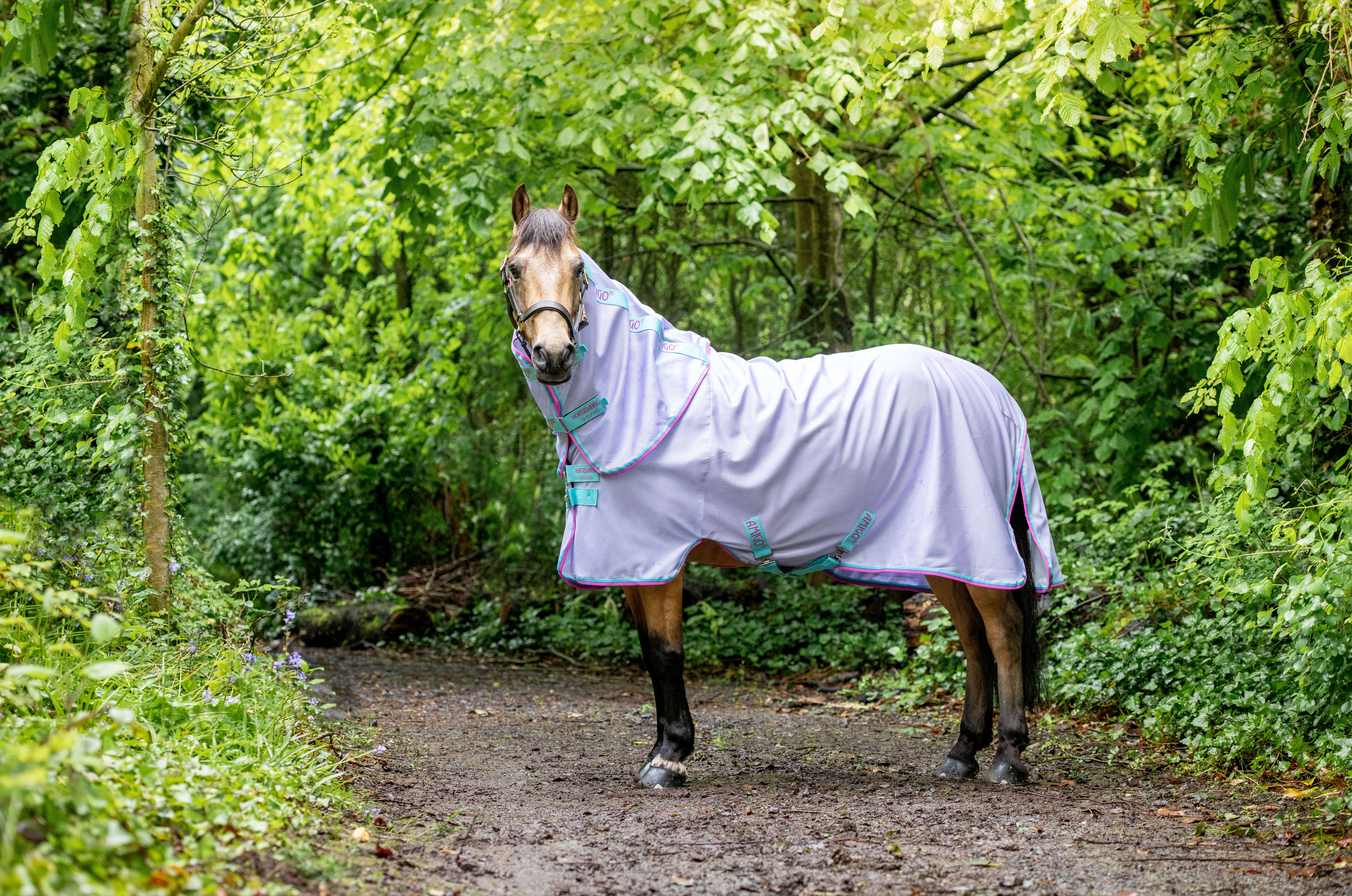 Horseware AMIGO BUG RUG Ponny lavendel