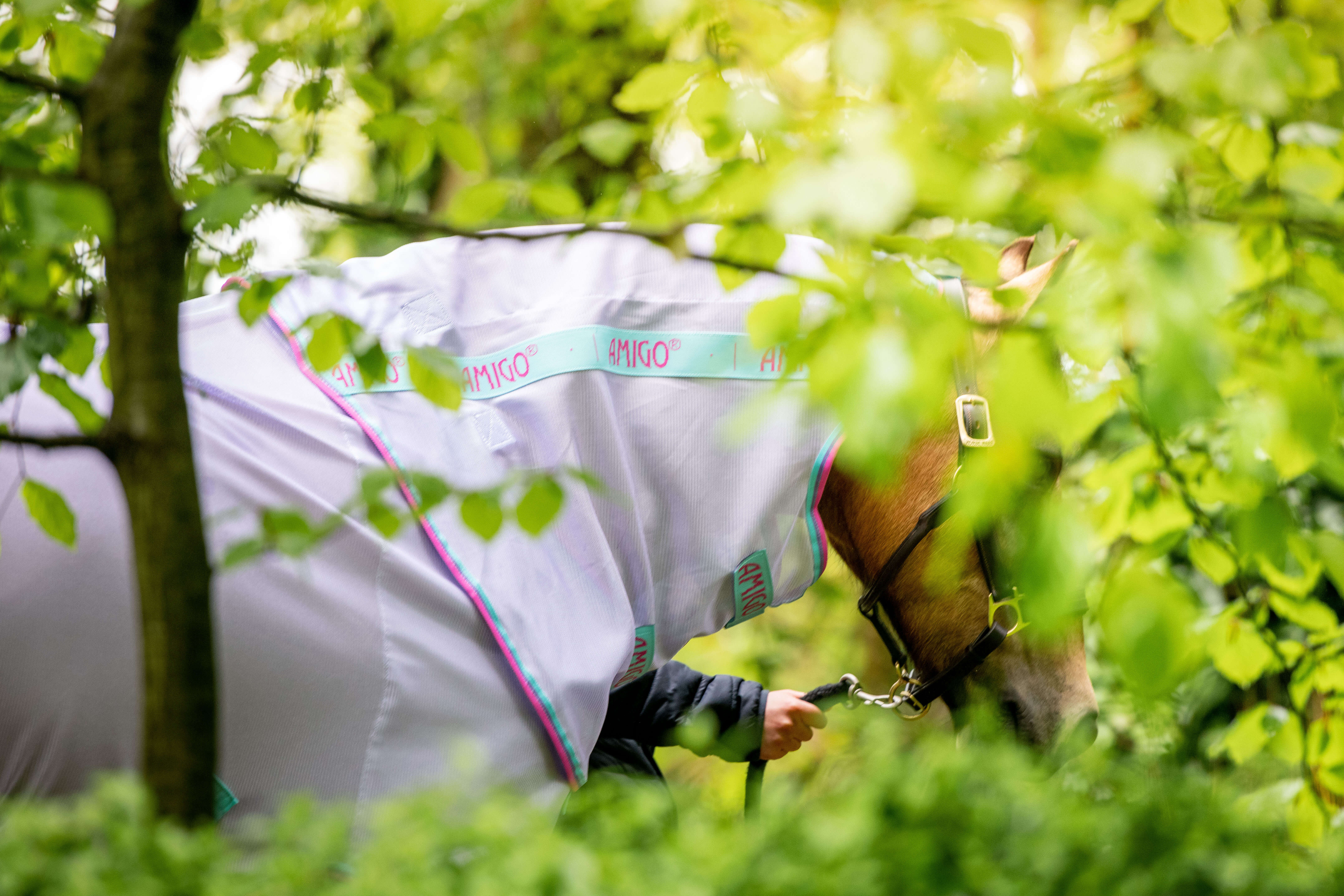 Horseware AMIGO BUG RUG Ponny lavendel