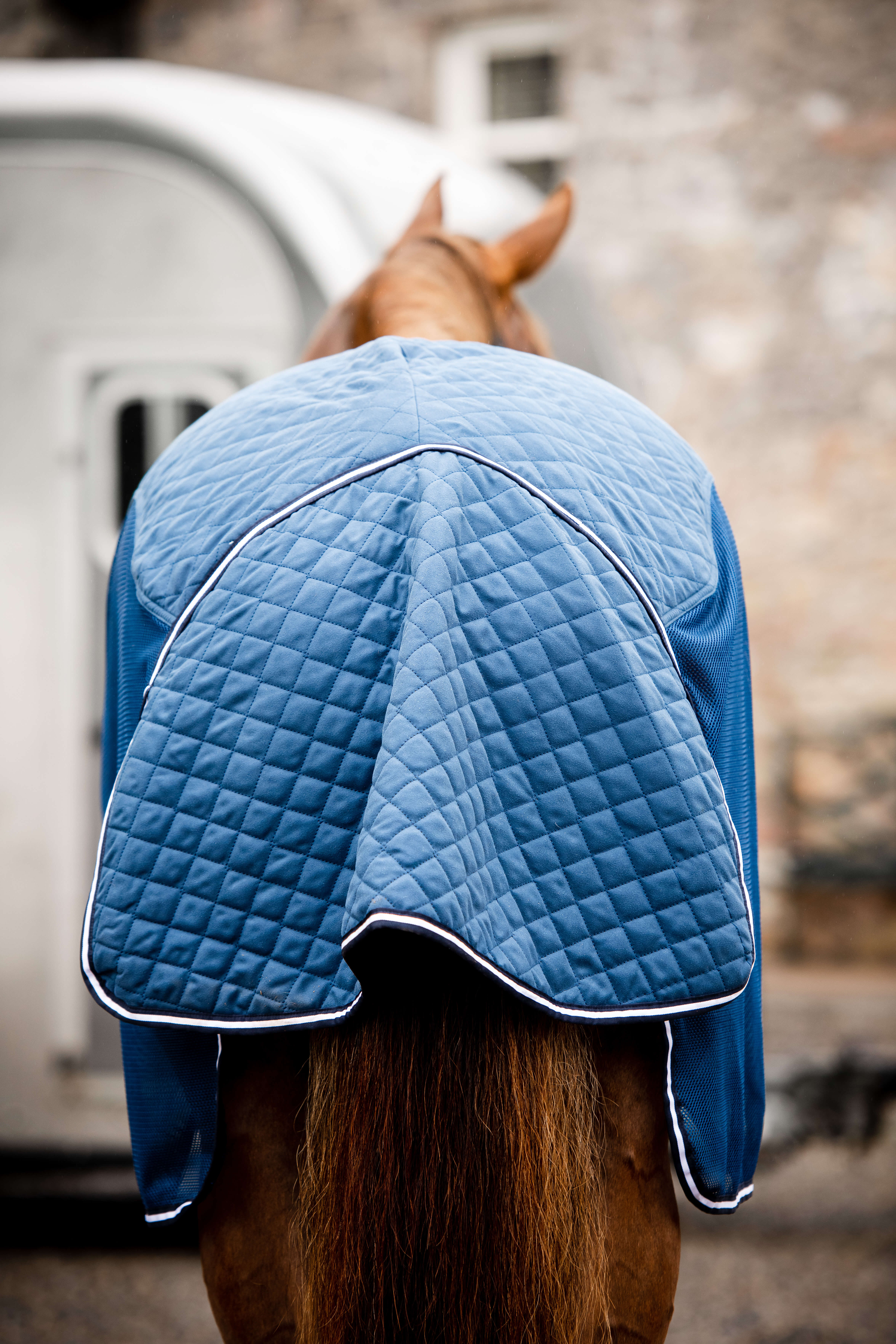 Horseware RAMBO TRAVEL SERIES navy - 125 - 4