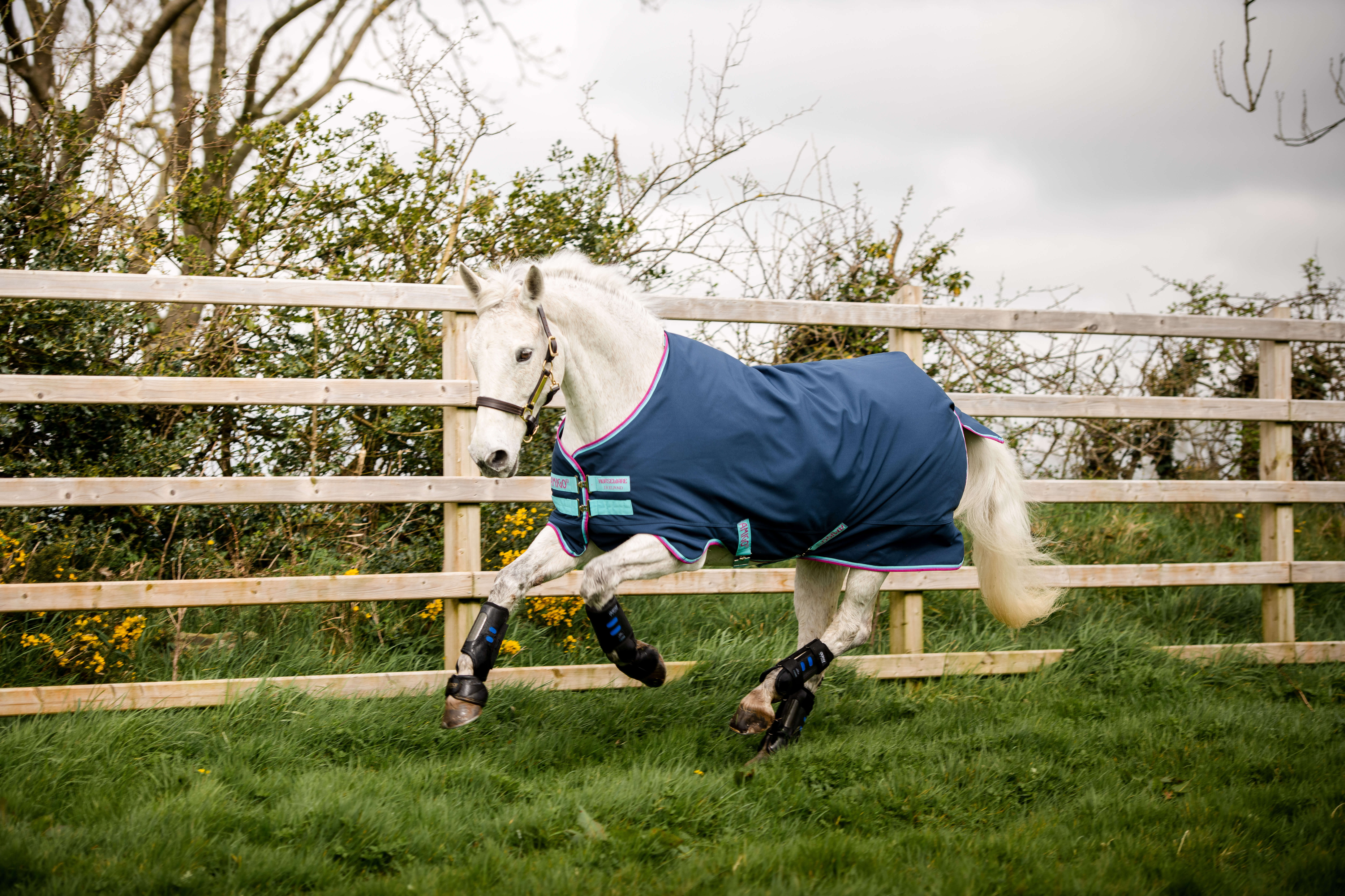 Horseware AMIGO HERO 900 PONNY dark blue 200 gram