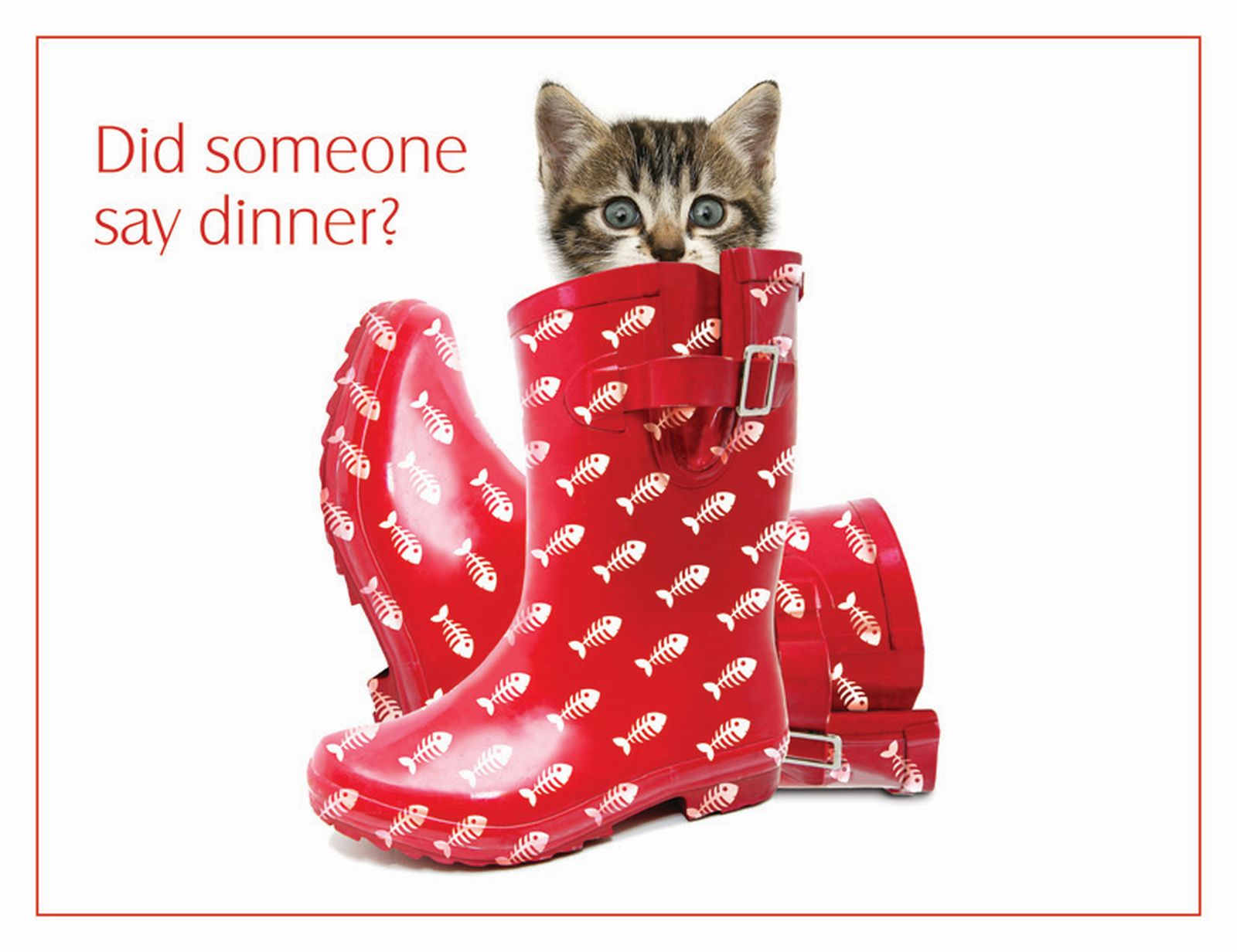 GIANT PET PLACEMAT - PUSS IN BOOTS