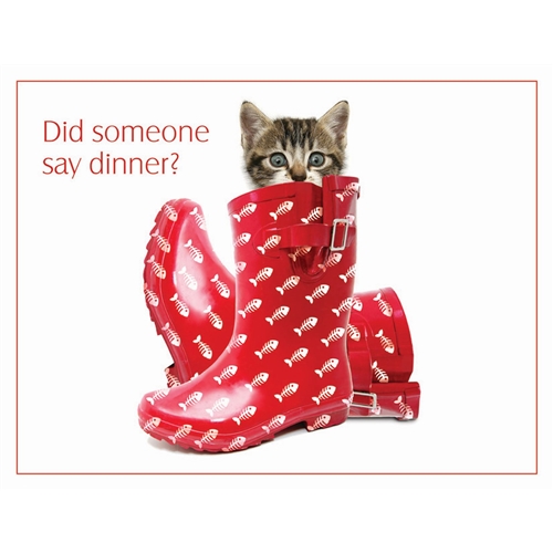 GIANT PET PLACEMAT - PUSS IN BOOTS