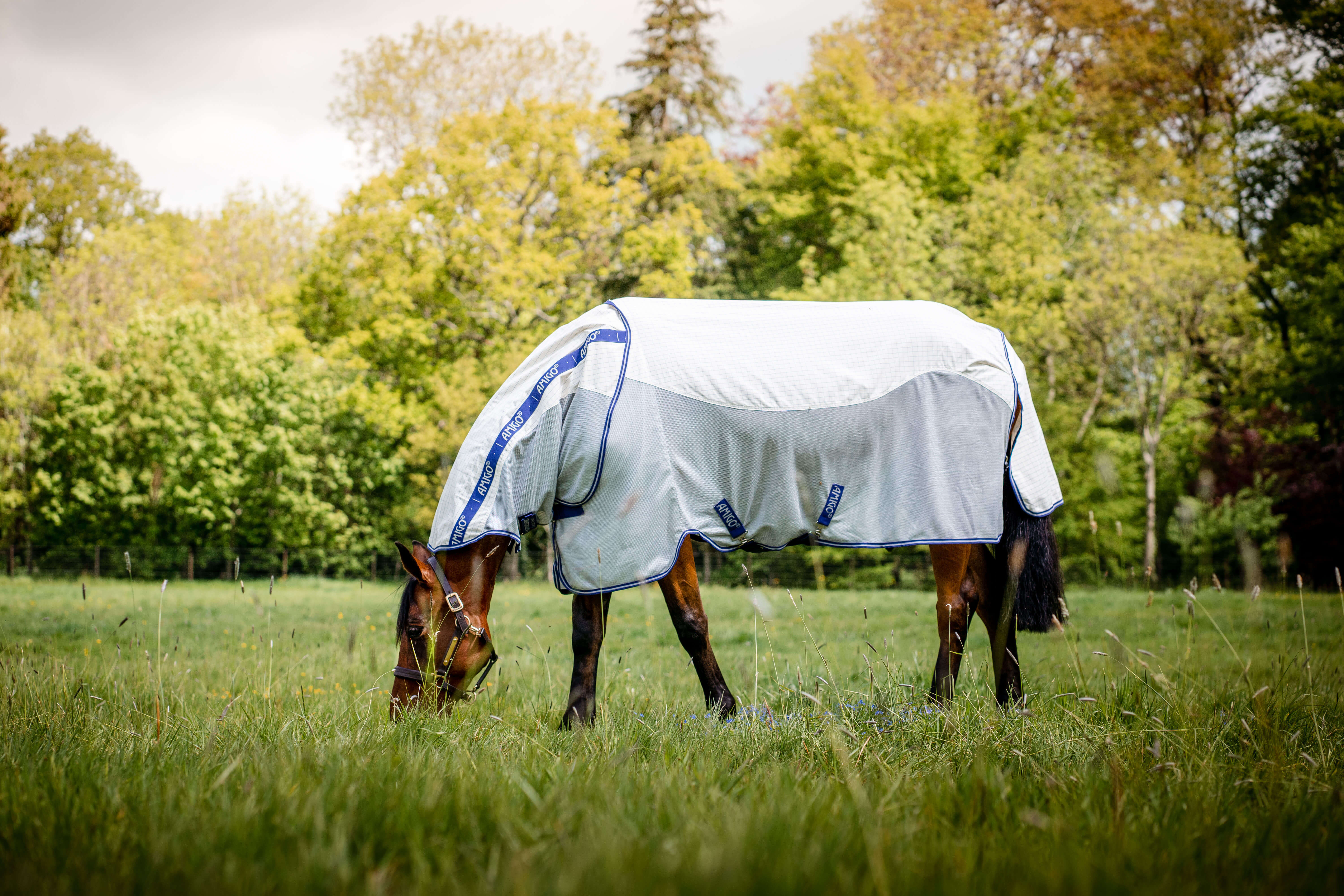 Horseware AMIGO AIRFLOW 
