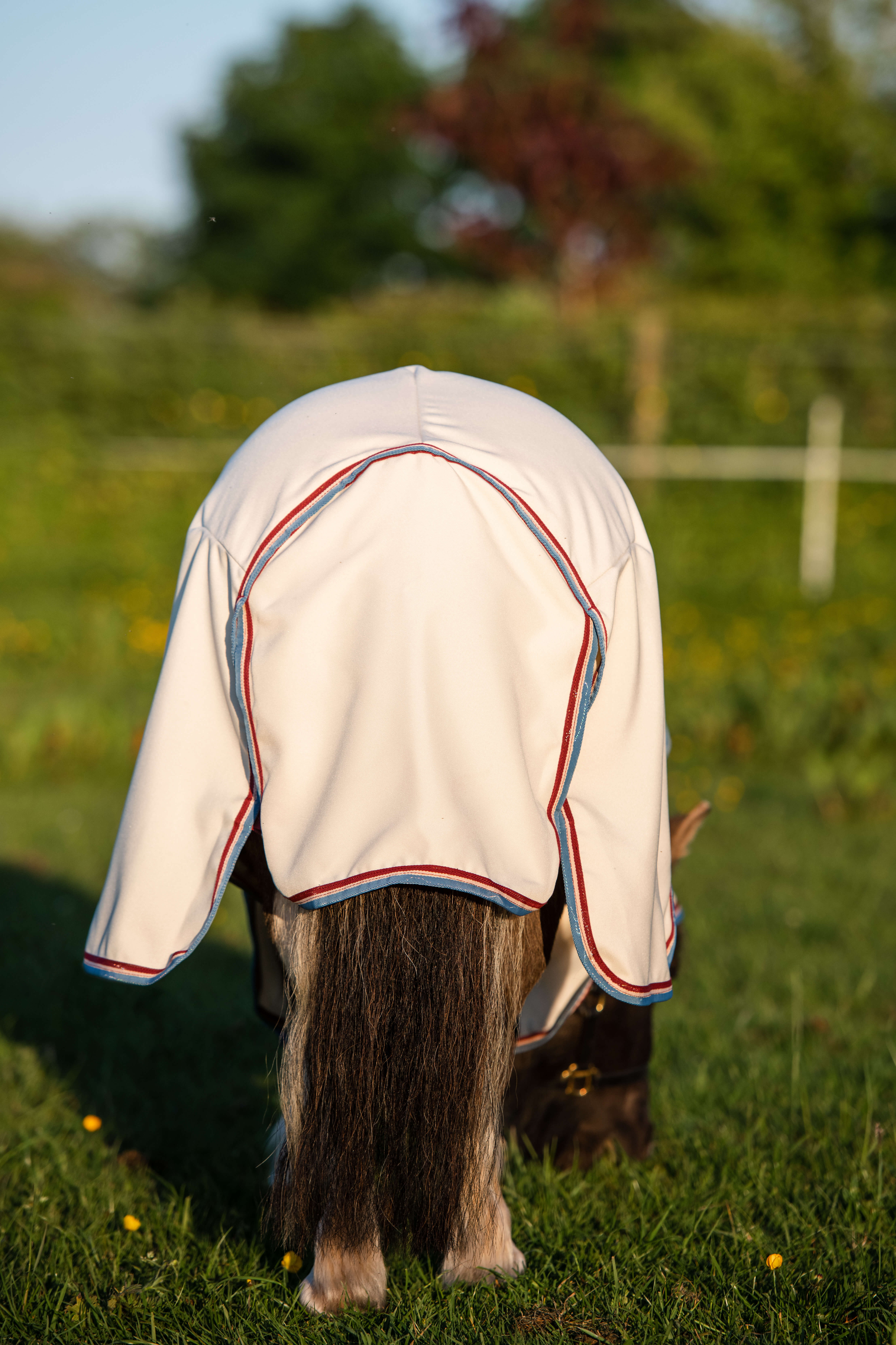 Horseware RAMBO PETITE HOODY - 3