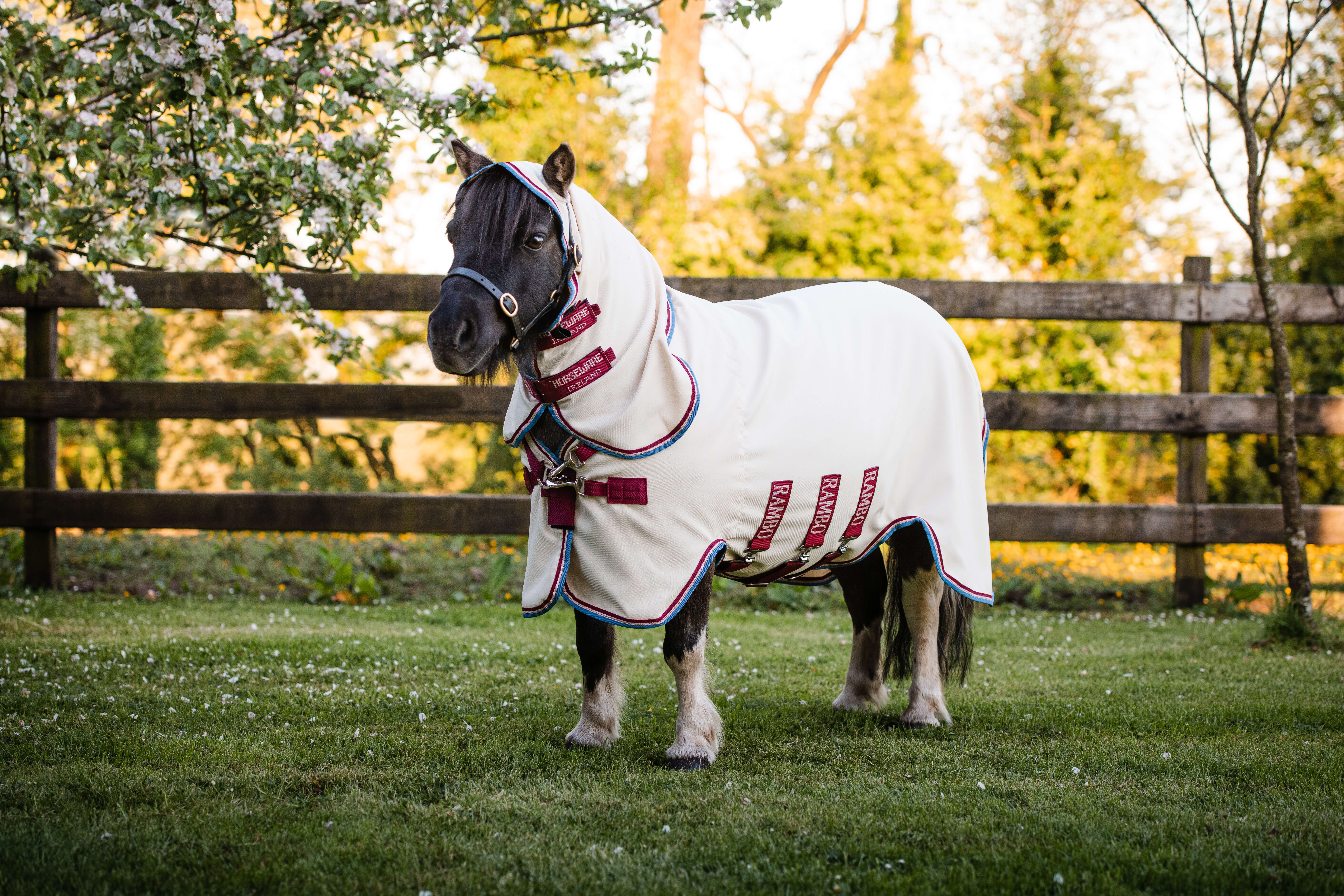 Horseware Rambo petite