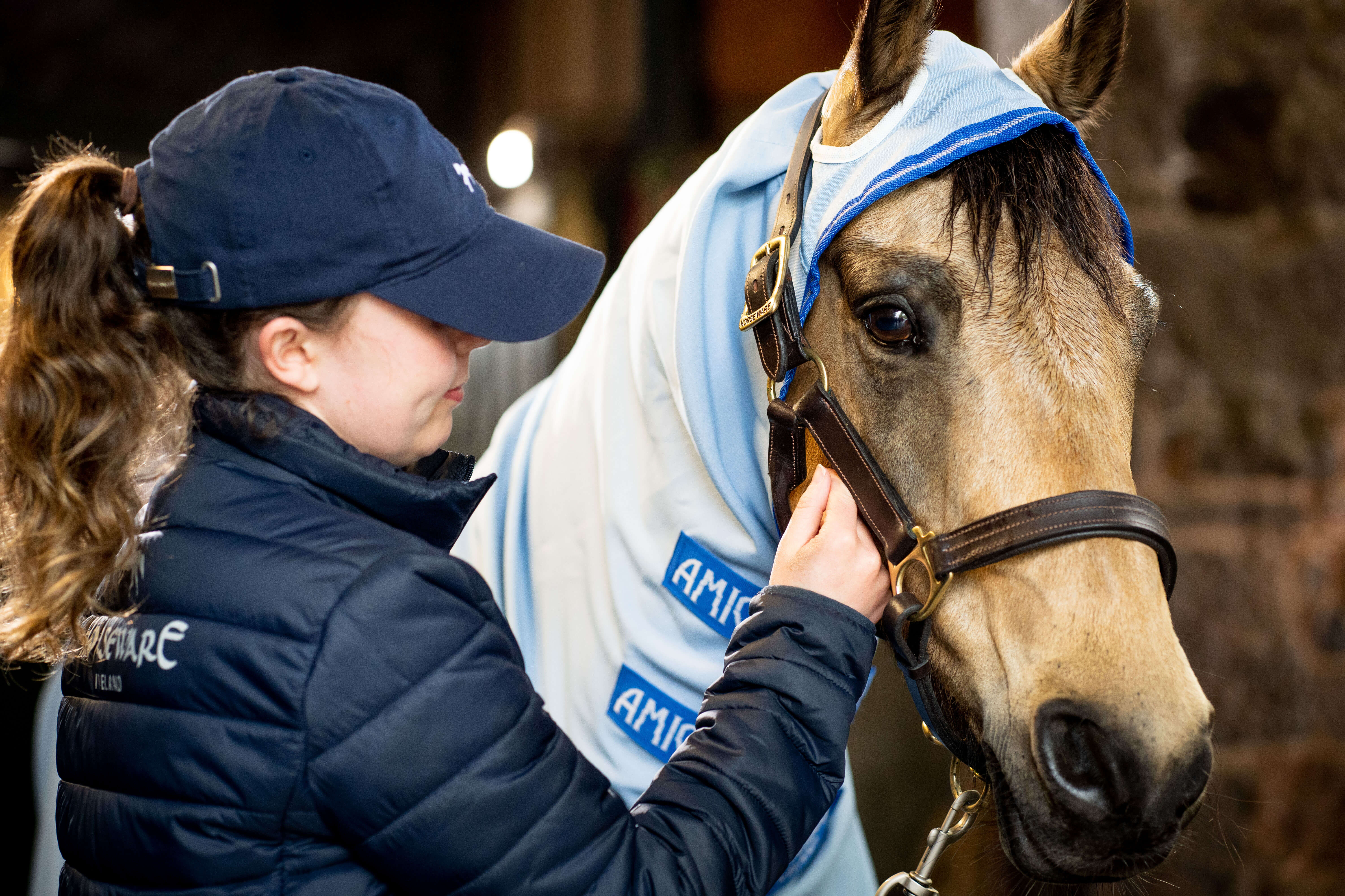 Horseware AMIGO PONNY RIPSTOP HOODY