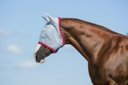 Häst i ljusblå flughuva från Horseware Amigo