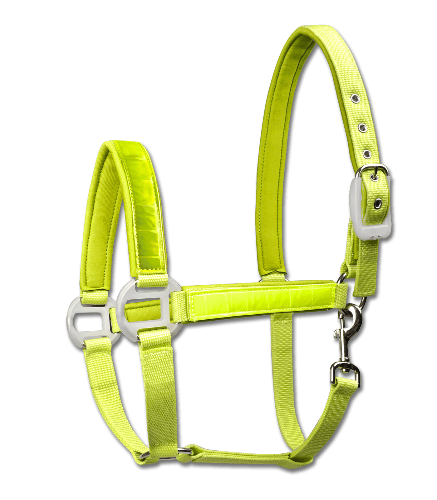 Reflexgrimma neon - COB