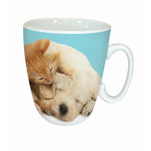 STANDARD MUG - PUPPY & GINGER KITTEN "WAKE UP!"