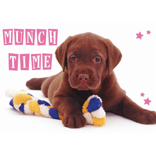 STANDARD PET PLACEMAT - CHOCOLATE LABRADOR "MUNCH TIME"