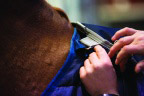 Horseware AMIGO BRAVO PONNY  0 gram 