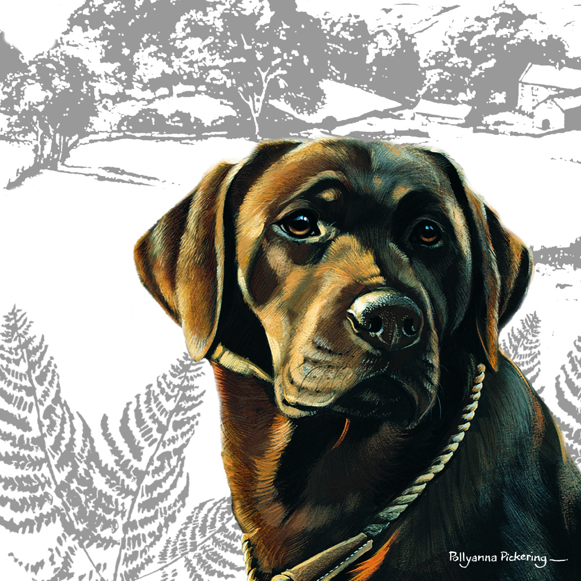 Kort Chocolate Labrador Retriver
