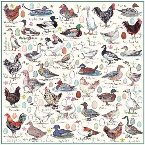JIGSAW SQUARE - MF - CHICKENS DUCKS & GEESE