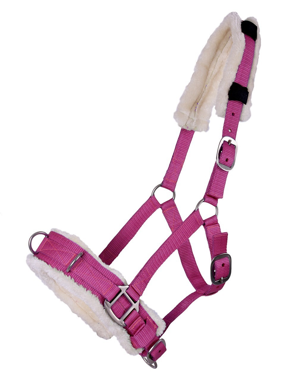Kapson fuchsia