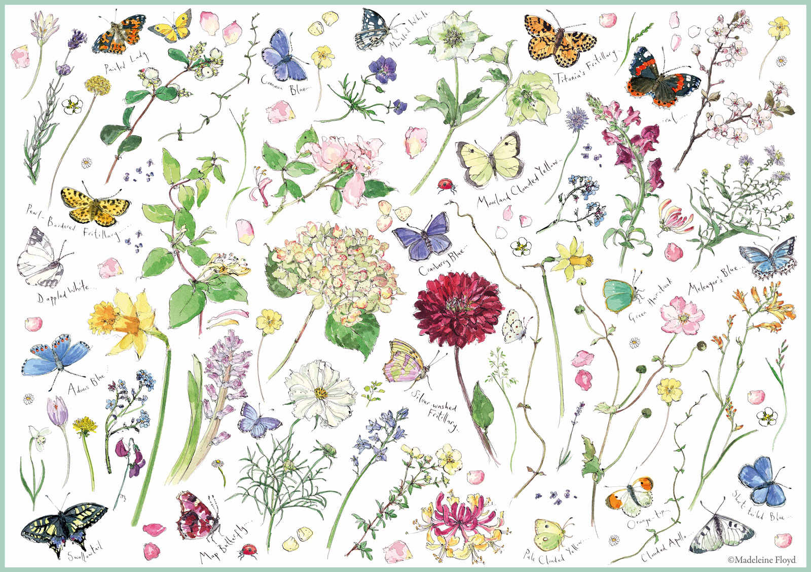 JIGSAW 1000 PIECE RECTANGULAR - MADELEINE FLOYD FLOWERS & BUTTERFLIES