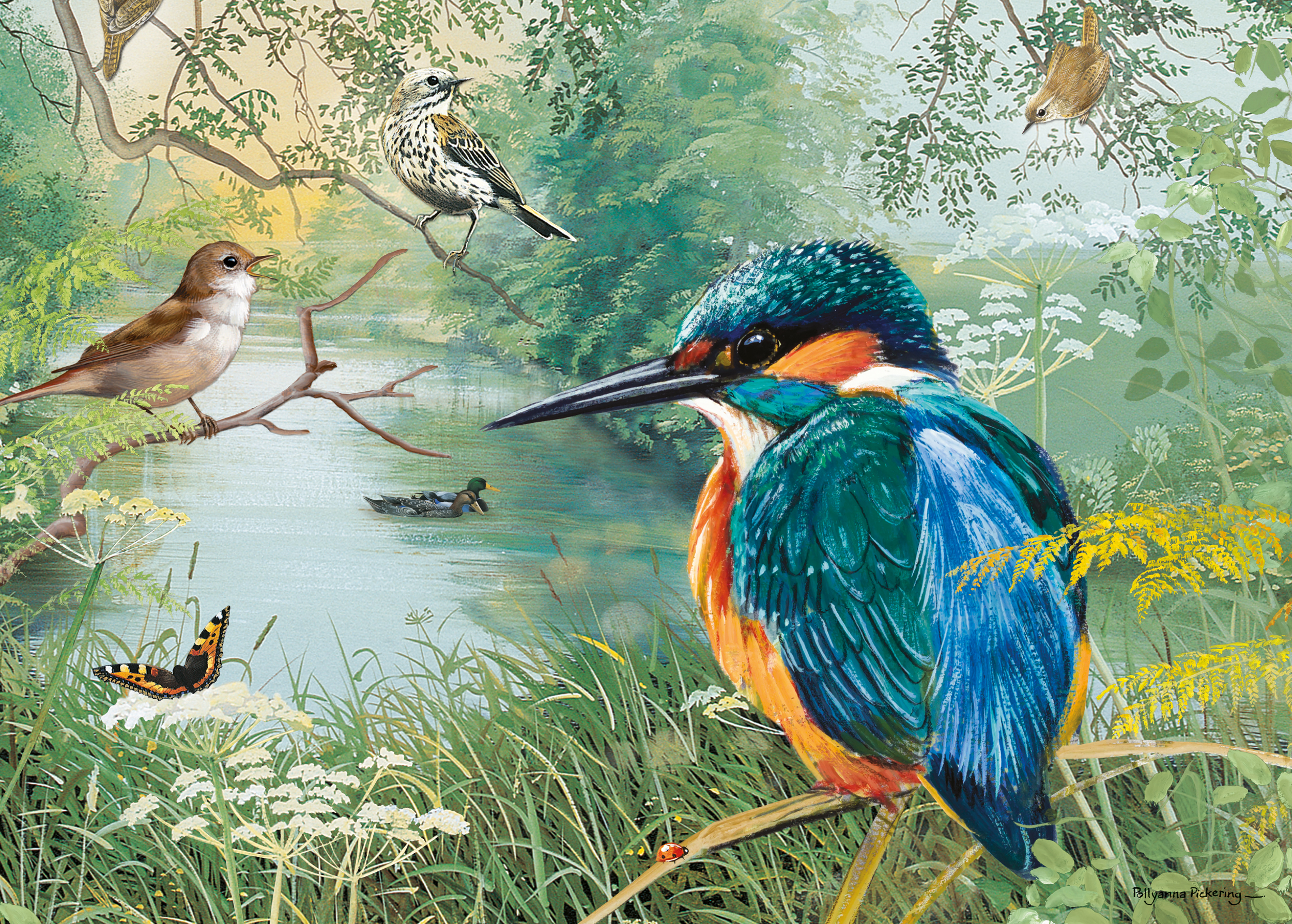 JIGSAW 1000 PIECE RECTANGULAR - NATURE RESERVE