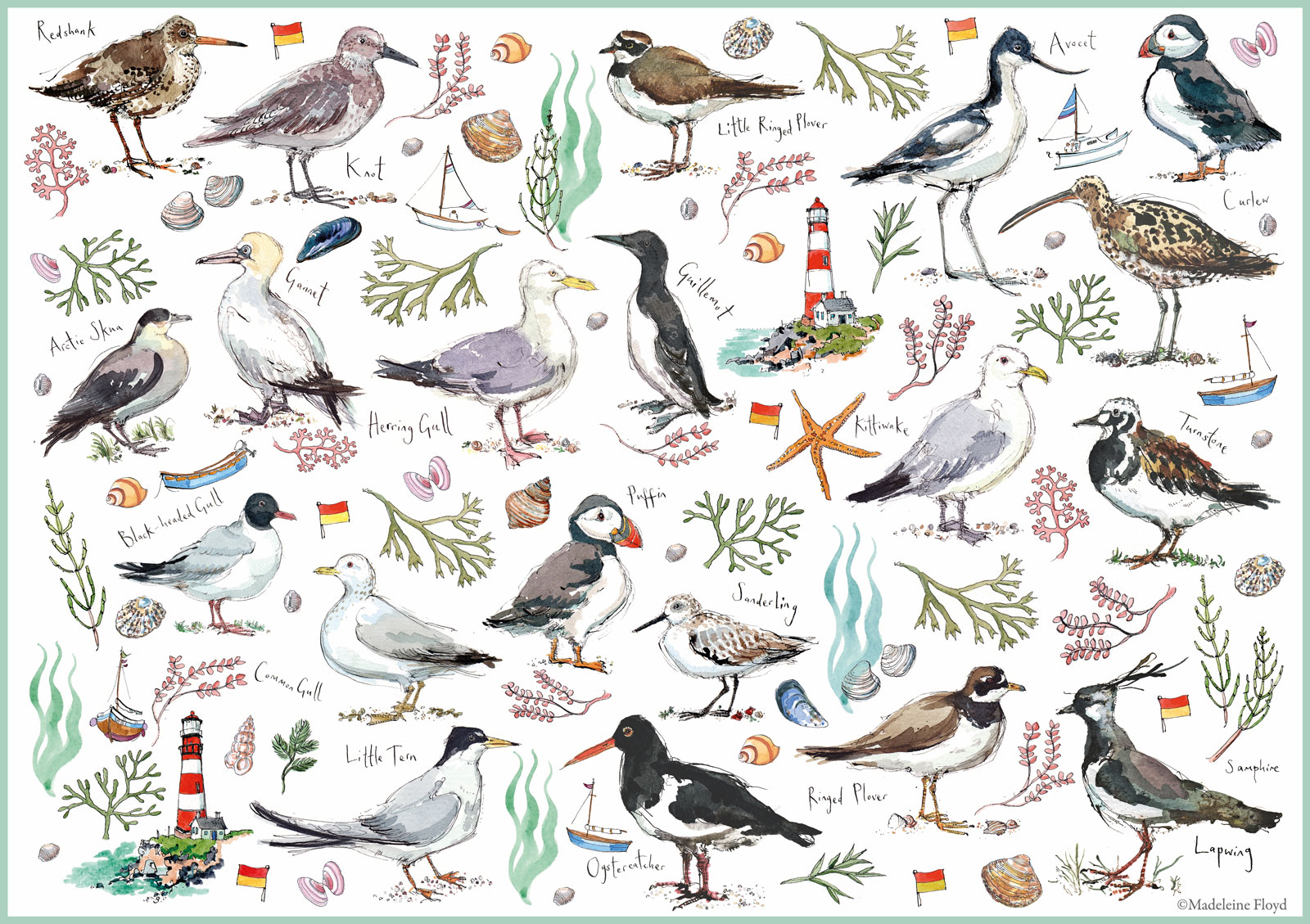JIGSAW 500 PIECE - MADELEINE FLOYD SEABIRDS