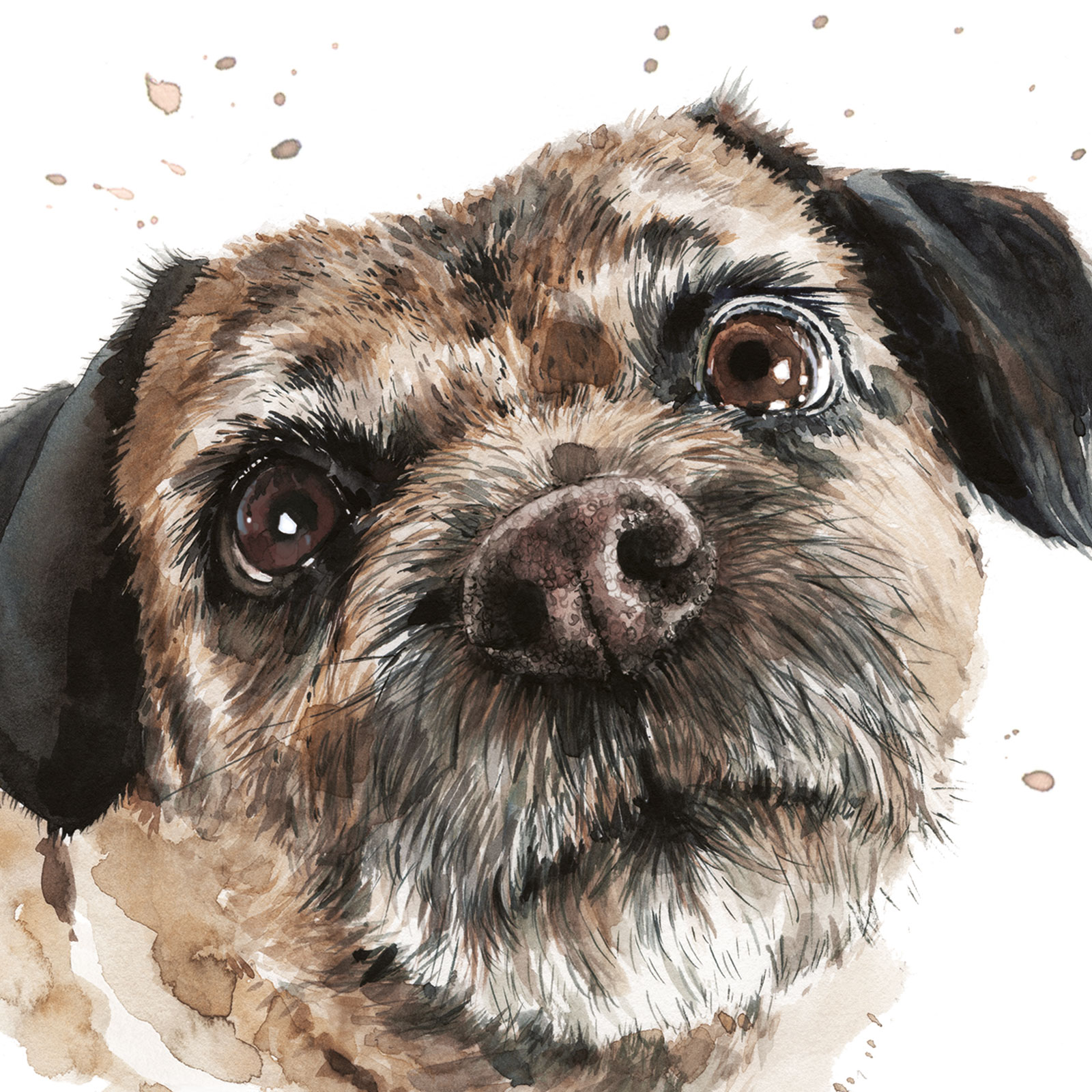 PUPPY DOG EYES CARD - BORDER TERRIER - BUSTER