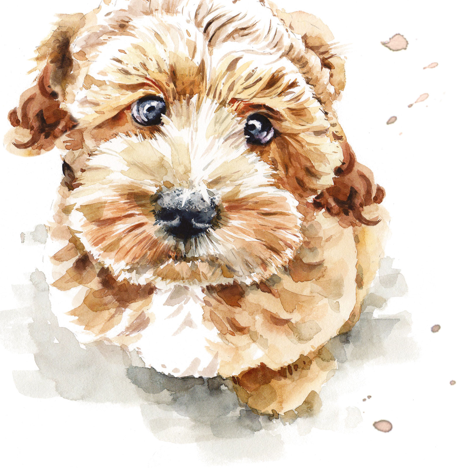 PUPPY DOG EYES CARD - COCKAPOO - COCO
