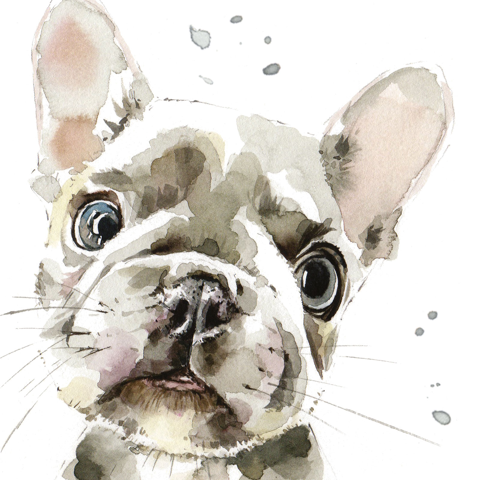 PUPPY DOG EYES CARD - FRENCH BULLDOG PUPPY - PIERRE