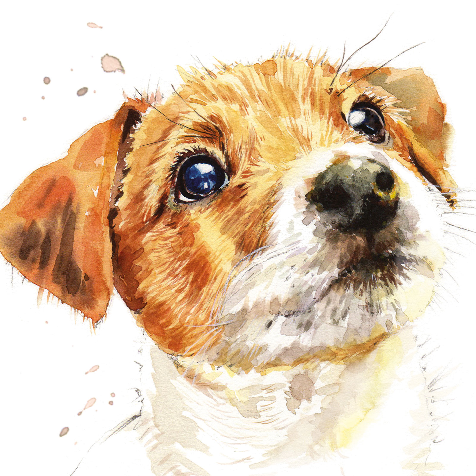 PUPPY DOG EYES CARD - JACK RUSSELL - BISCUIT
